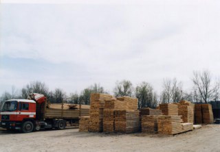 image sample